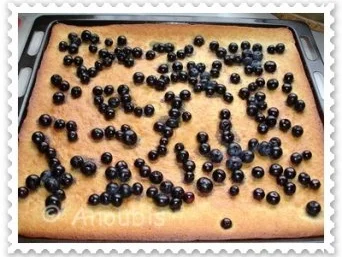 Rezept: Kuchen/Gebäck - Heidelbeer- Blechkuchen Bild Nr. 3 Kuchen/Gebäck - Heidelbeer- Blechkuchen - Rezept - Bild Nr. 3