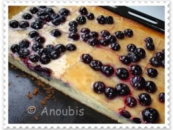 Rezept: Kuchen/Gebäck - Heidelbeer- Blechkuchen Bild Nr. 4 Kuchen/Gebäck - Heidelbeer- Blechkuchen - Rezept - Bild Nr. 4