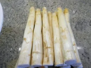 Spargelauflauf - Rezept - Bild Nr. 7