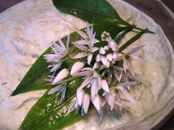 Kräuter-Quark mit viel Bärlauch   ... - Rezept - Bild Nr. 5