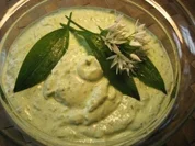 Kräuter-Quark mit viel Bärlauch   ... - Rezept