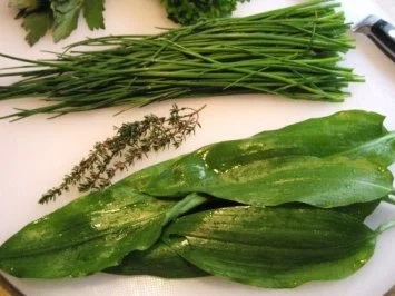 Kräuter-Quark mit viel Bärlauch   ... - Rezept - Bild Nr. 3