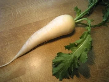 Bier-Rettich zum Abendbrot ... - Rezept