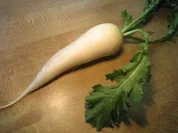 Bier-Rettich zum Abendbrot ... - Rezept