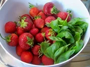 Einmachen: Erdbeer-Marmelade mit Basilikum - Rezept