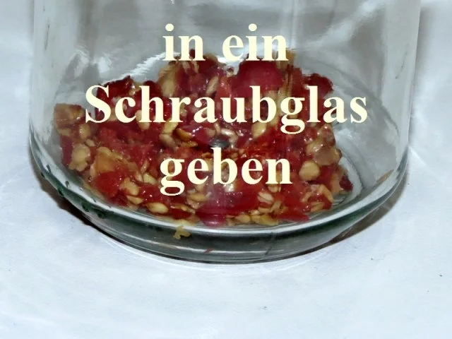 Heiliges Öl - Rezept - Bild Nr. 5