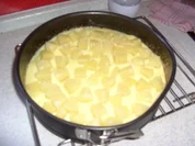 Annanas Vanilliepuddingkuchen - Rezept