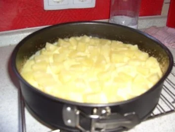 Annanas Vanilliepuddingkuchen - Rezept - Bild Nr. 2