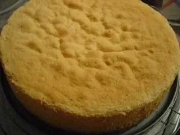 Erdbeer-Torten-Blitz... ohne Sahne, sehr lecker!!! - Rezept - Bild Nr. 4