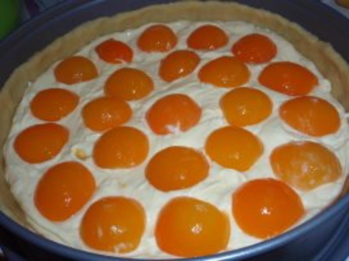 Kuchen: Käsekuchen mit Aprikosen - Rezept - Bild Nr. 3