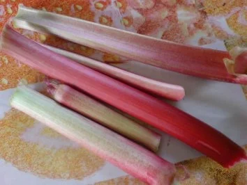 Erdbeer-Rhabarber-Torte - Rezept - Bild Nr. 4