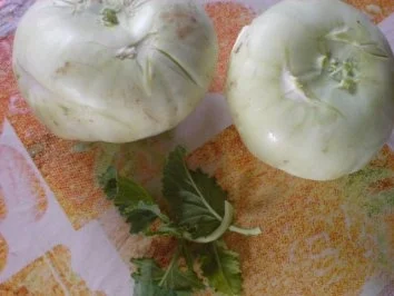 Rezept: Kohlrabigemüse zu Bouletten Bild Nr. 3 Kohlrabigemüse zu Bouletten - Rezept - Bild Nr. 3