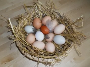 Eiersalat 1.0 - Rezept - Bild Nr. 3