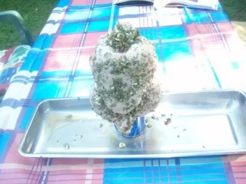 Rezept: Bierdosen - Hähnchen mit Knoblauch und Oregano, dazu Folienkartoffeln und Salat Bild Nr. 5 Bierdosen - Hähnchen mit Knoblauch und Oregano, dazu Folienkartoffeln und Salat - Rezept - Bild Nr. 5