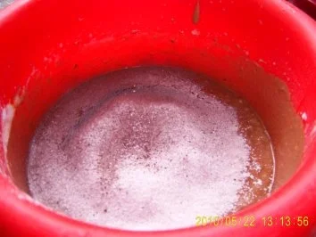 Erdbeer-Käsesahne - Rezept