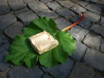 Rhabarber-Baiser-Kuchen - Rezept