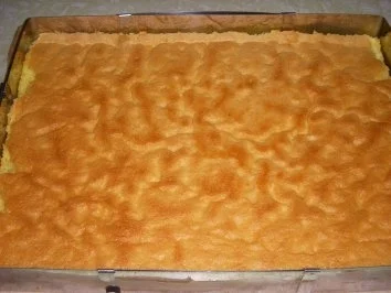 Rezept: HOLUNDER-SCHNITTEN MIT ERDBEEREN Bild Nr. 2 HOLUNDER-SCHNITTEN MIT ERDBEEREN - Rezept - Bild Nr. 2