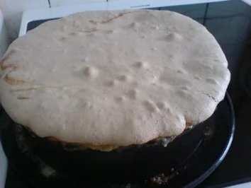 Rezept: Rhabarber-Torte Bild Nr. 15 Rhabarber-Torte - Rezept - Bild Nr. 15