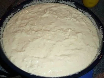 Rezept: Quark-Apfelkuchen "Himmelfahrt" Bild Nr. 16 Quark-Apfelkuchen "Himmelfahrt" - Rezept - Bild Nr. 16