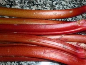 Rezept: Mascarponetorte" Erdbeer- Rhabarber" an Erdbeerlimes-Spiegel und Schlagsahnehaube Bild Nr. 6 Mascarponetorte" Erdbeer- Rhabarber" an Erdbeerlimes-Spiegel und Schlagsahnehaube - Rezept - Bild Nr. 6