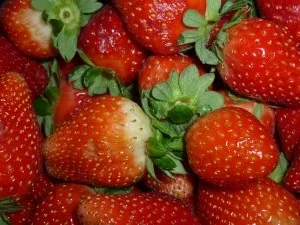 Rezept: Mascarponetorte" Erdbeer- Rhabarber" an Erdbeerlimes-Spiegel und Schlagsahnehaube Bild Nr. 7 Mascarponetorte" Erdbeer- Rhabarber" an Erdbeerlimes-Spiegel und Schlagsahnehaube - Rezept - Bild Nr. 7