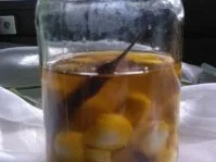 Rezept: Eingelegte Mozzarella-Kugeln Eingelegte Mozzarella-Kugeln - Rezept