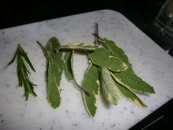 Gratinierte Salbeikartoffeln - Rezept - Bild Nr. 2