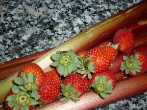 Vanilliges Rhabarber-Erdbeer-Kompott mit Schuss - Rezept - Bild Nr. 7