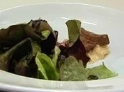 Geflügelleber an Eichblattsalat - Rezept