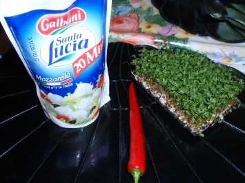 Rezept: Bunte Mini-Mozzarella-Kugeln Bild Nr. 2 Bunte Mini-Mozzarella-Kugeln - Rezept - Bild Nr. 2