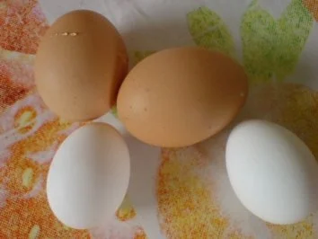 Rezept: Grüne Waffeln mit Paprika Bild Nr. 7 Grüne Waffeln mit Paprika - Rezept - Bild Nr. 7