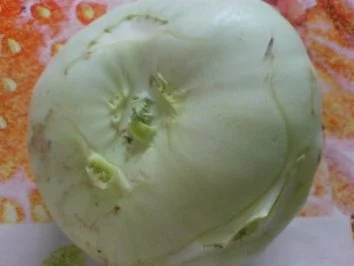 Kohlrabi-Gratin - Rezept - Bild Nr. 5