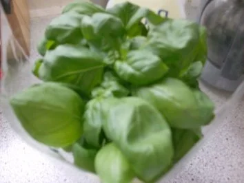 Rezept: Spargel mit Basilikum-Cranberrie-Pesto im Romanabett Bild Nr. 3 Spargel mit Basilikum-Cranberrie-Pesto im Romanabett - Rezept - Bild Nr. 3