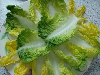 Rezept: Spargel mit Basilikum-Cranberrie-Pesto im Romanabett Bild Nr. 8 Spargel mit Basilikum-Cranberrie-Pesto im Romanabett - Rezept - Bild Nr. 8