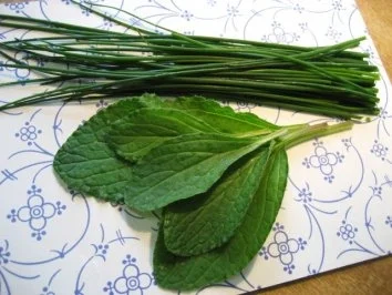 Gurkensalat .... - Rezept - Bild Nr. 2