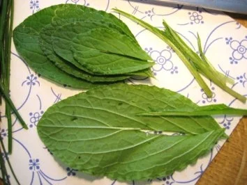 Gurkensalat .... - Rezept - Bild Nr. 3