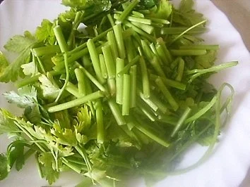 eine Suppenidee - Rezept - Bild Nr. 4