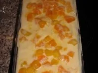 Mango-Kokos-Joghurteis - Rezept - Bild Nr. 2