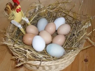 Rezept: Eierlikör Bild Nr. 3 Eierlikör - Rezept - Bild Nr. 3