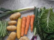 Gemüsesuppe - Rezept