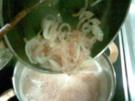 Zwiebelsuppe - Rezept