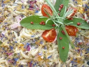 Rezept: Fruchtiger Kräuter-Nudelsalat Fruchtiger Kräuter-Nudelsalat - Rezept