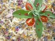 Fruchtiger Kräuter-Nudelsalat - Rezept