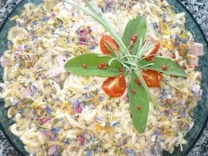 Rezept: Fruchtiger Kräuter-Nudelsalat Bild Nr. 2 Fruchtiger Kräuter-Nudelsalat - Rezept - Bild Nr. 2