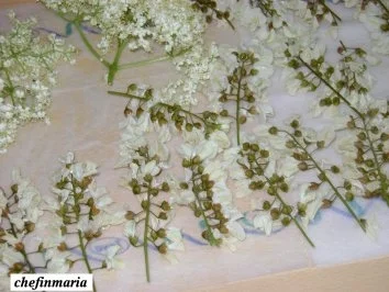 Hollerstrauben - Rezept - Bild Nr. 3