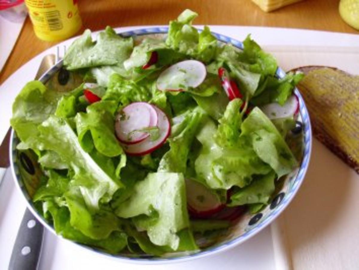 Salat...Die letzen Radieschen-Der erste Salat - Rezept