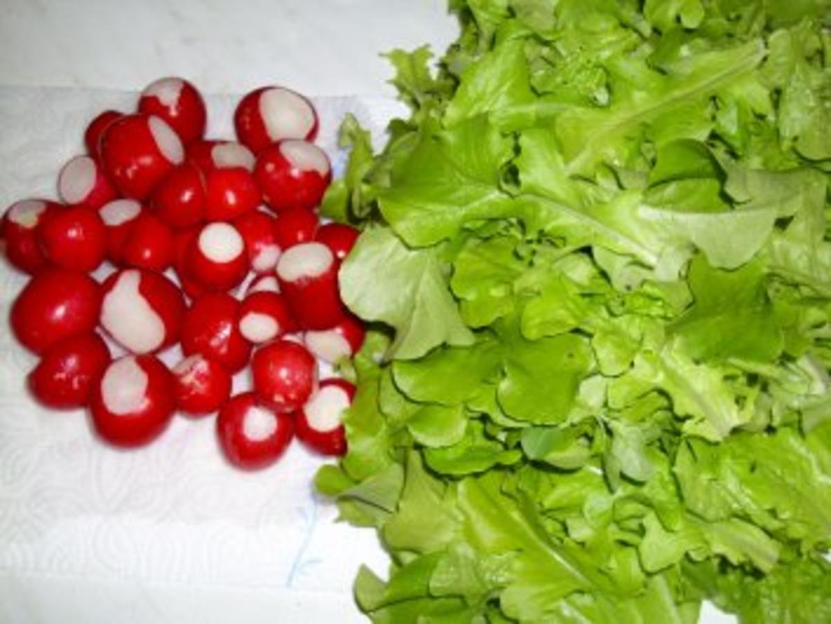 Salat...Die letzen Radieschen-Der erste Salat - Rezept - Bild Nr. 2