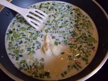 Pastasoße...Meine schnelle Käsesoße mit Frühlingszwiebeln - Rezept - Bild Nr. 7