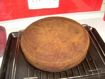 Rezept: Marmor Rumrosinnenkuchen Bild Nr. 7 Marmor Rumrosinnenkuchen - Rezept - Bild Nr. 7