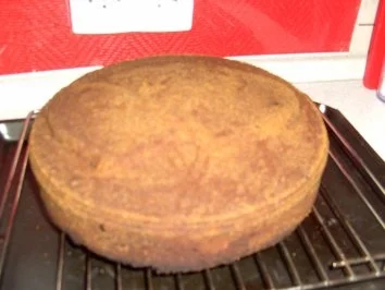 Rezept: Marmor Rumrosinnenkuchen Bild Nr. 8 Marmor Rumrosinnenkuchen - Rezept - Bild Nr. 8